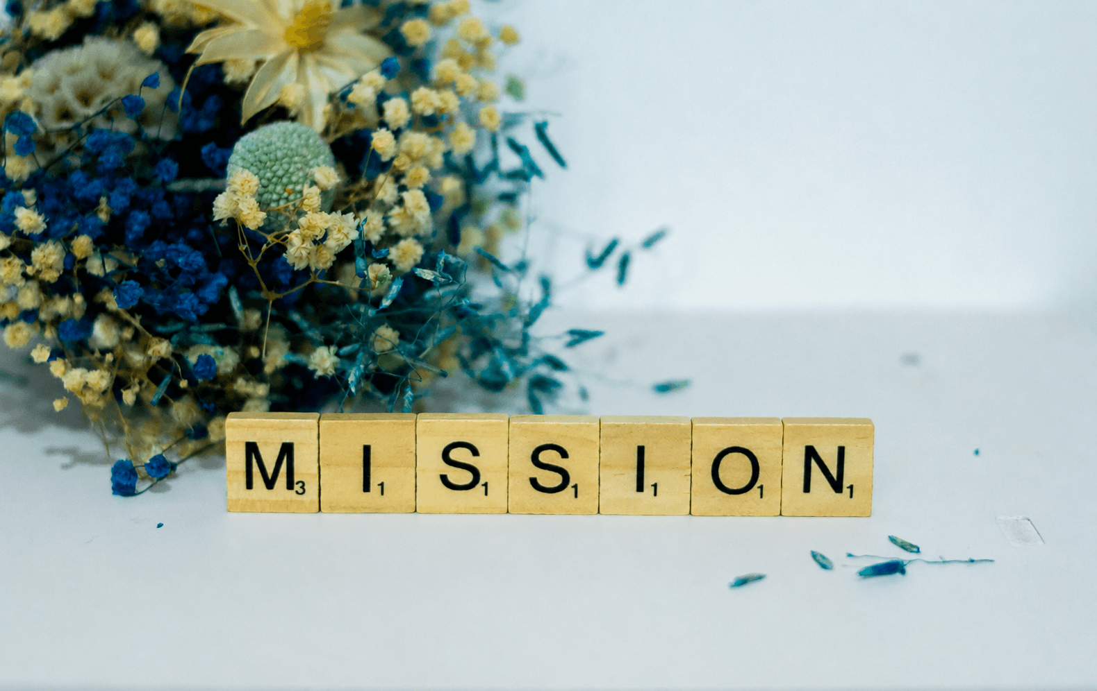 Our Mission Visual